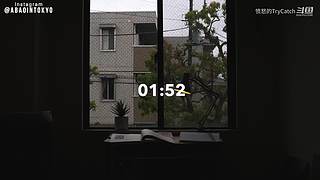 重生之奋发涂墙