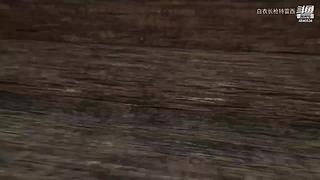 无兄弟不篮球 4840534