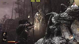 长草期技术主播