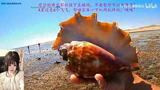 不要内耗，要允许一切发生