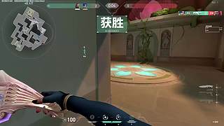 老年猪播 在线喂饭