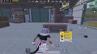 月殿玉兔直播间