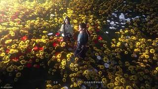 乌鸦乌云的直播间