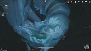 打会第五人格 12849088