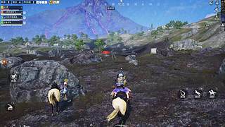 和平精英老王