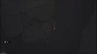 用户0202739219的直播间