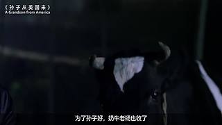 【一目十影】温情解说经典电影