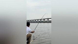 亮gnailux的直播间
