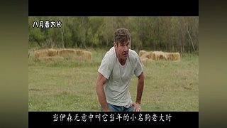 八月几分钟带你看经典电影