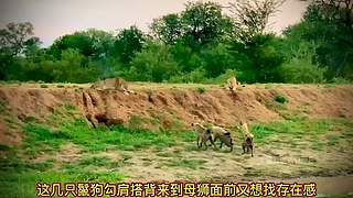 带你了解你不知道知识
