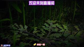 收集各地特色食材，体验民间趣味小游戏