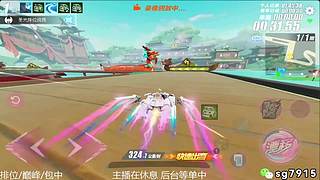 空闲中 排位巅峰包中