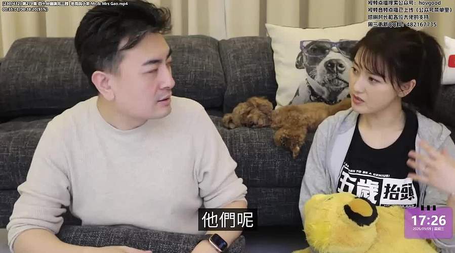 老高与小茉系列剧