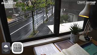 重生之奋发涂墙