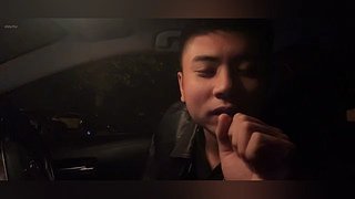 算鸟算鸟。