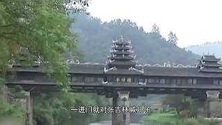 把大脑切成两半会怎样？有趣的裂脑实验