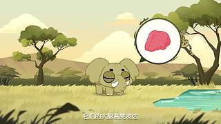 摩登大自然开播哦