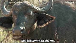王生怪谈奇闻怪事