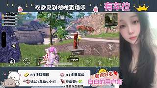 鸡否？鸡否？