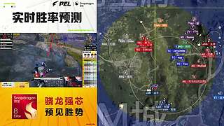 重播|PEL夏季赛总决赛D3