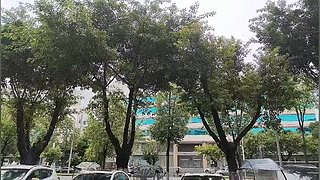 地狱小猫喵~回家~
