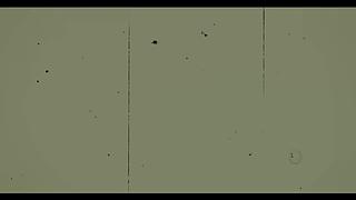 【Cat】渔力全开 多人联机