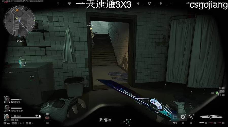 巴克什野鸡护