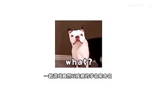 熊猫游戏视频的直播间