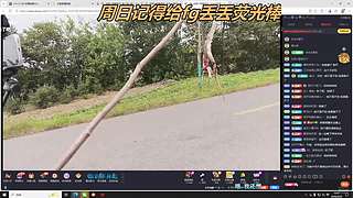 公道自在人心✌