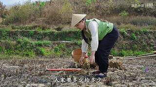 滇西小哥的美食视频