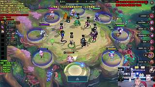 小皮：3鸡下播（1/3）！