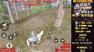 【ios帮打晋级赛/上分】
