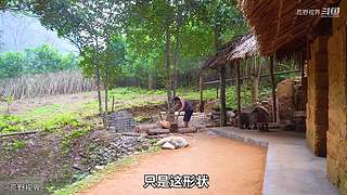 越南小哥的丛林生活