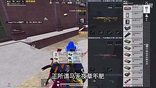 月殿玉兔直播间