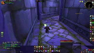 魔兽世界经典60级哈霍兰