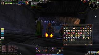 魔兽世界经典60级哈霍兰