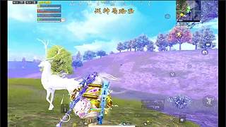 新号从零上分挑战