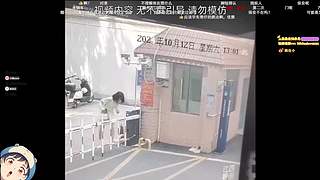 【小白鸽】小宝们 冲冲观时啦！
