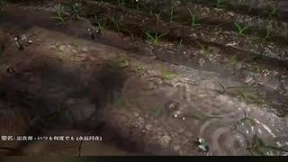失眠症福音~~~~~~~~~~~