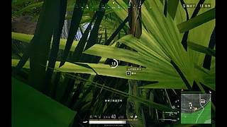 新主播！求关注！ 683868