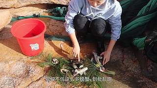 渔妹带你来赶海，来看有没有你没见过的