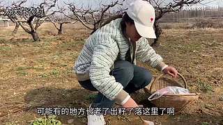 大庆在农村的直播间