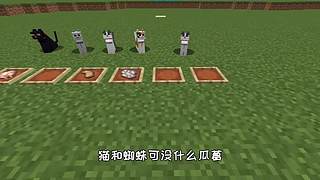 萌宠电影剪辑的直播间