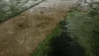 失眠症福音~~~~~~~~~~~