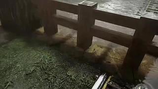 失眠症福音~~~~~~~~~~~