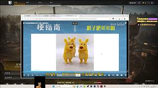 【双倍】小宝们 冲冲观时啦！