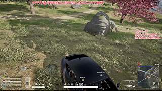 【钻粉五倍】假期快乐