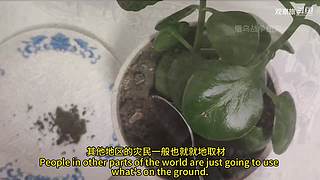 喜欢我的视频或想和我玩，请关注，打赏我哟