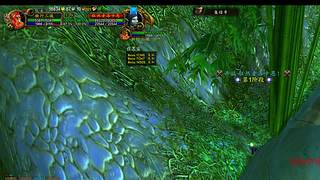 魔兽世界经典60级哈霍兰