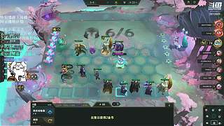 我要验牌,给我擦皮鞋
